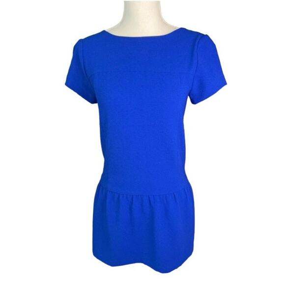 CO Blue drop waist Mini Dress preppy academia cosplay minimalist casual spring - Picture 2 of 6